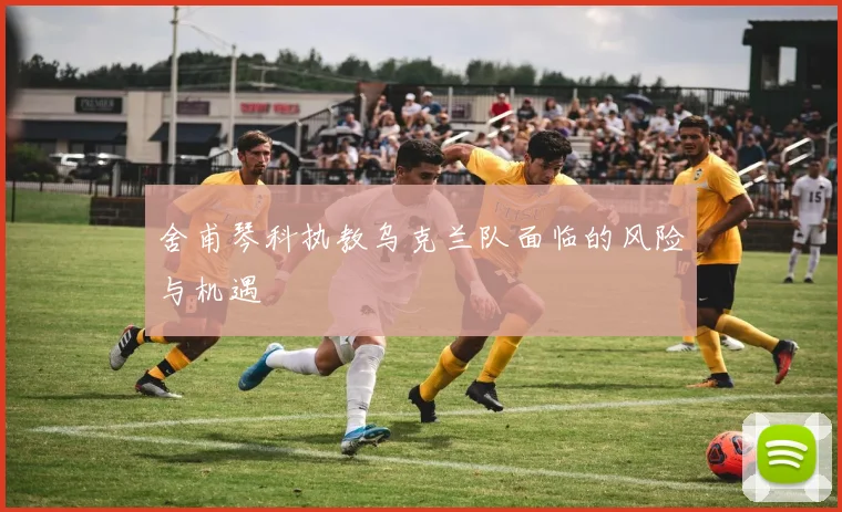 舍甫琴科执教乌克兰队面临的风险与机遇