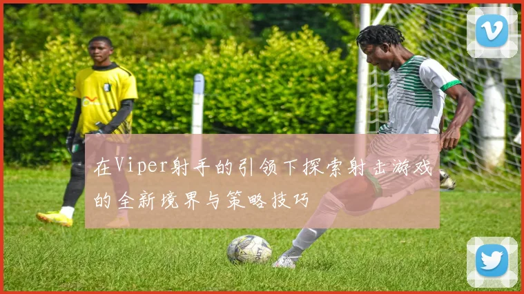 在Viper射手的引领下探索射击游戏的全新境界与策略技巧