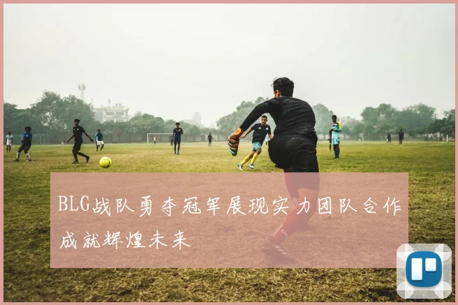 BLG战队勇夺冠军展现实力团队合作成就辉煌未来