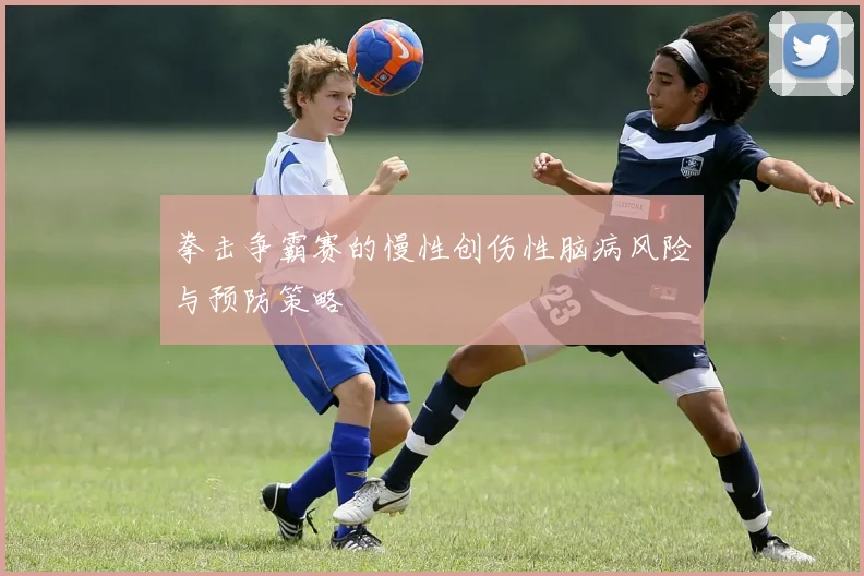 拳击争霸赛的慢性创伤性脑病风险与预防策略