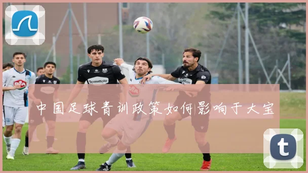 中国足球青训政策如何影响于大宝