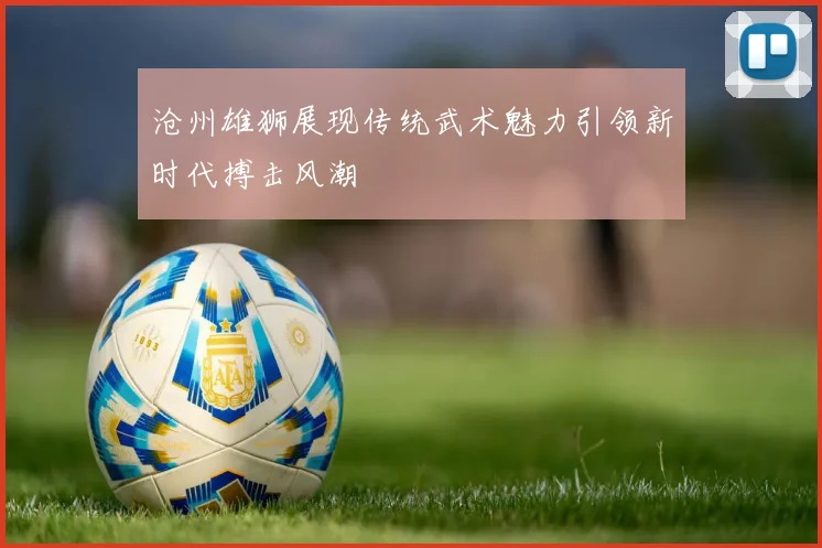 沧州雄狮展现传统武术魅力引领新时代搏击风潮