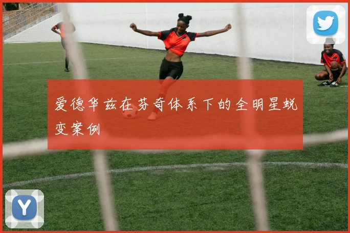 爱德华兹在芬奇体系下的全明星蜕变案例